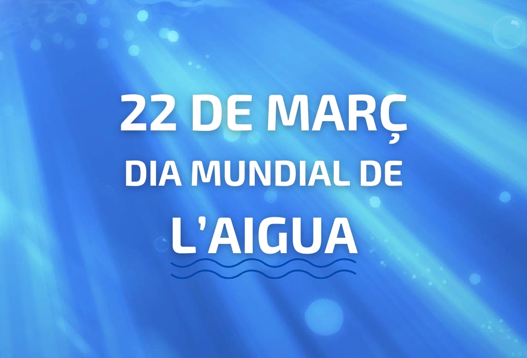 22 de març, Dia Mundial de l’Aigua