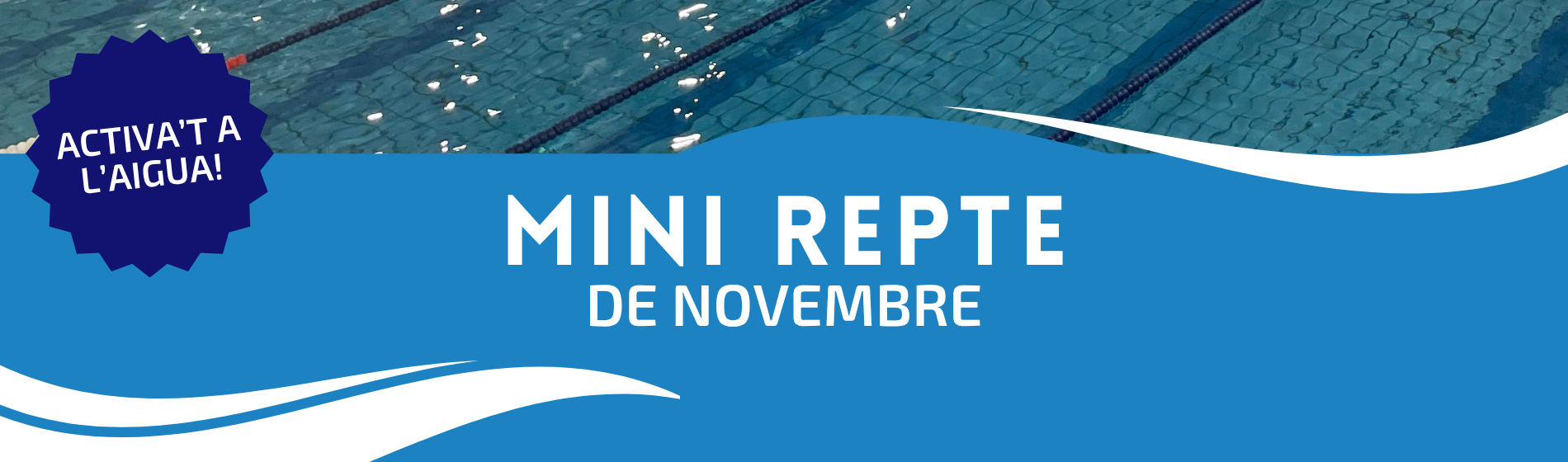 MINIREPTE NOVEMBRE 2025